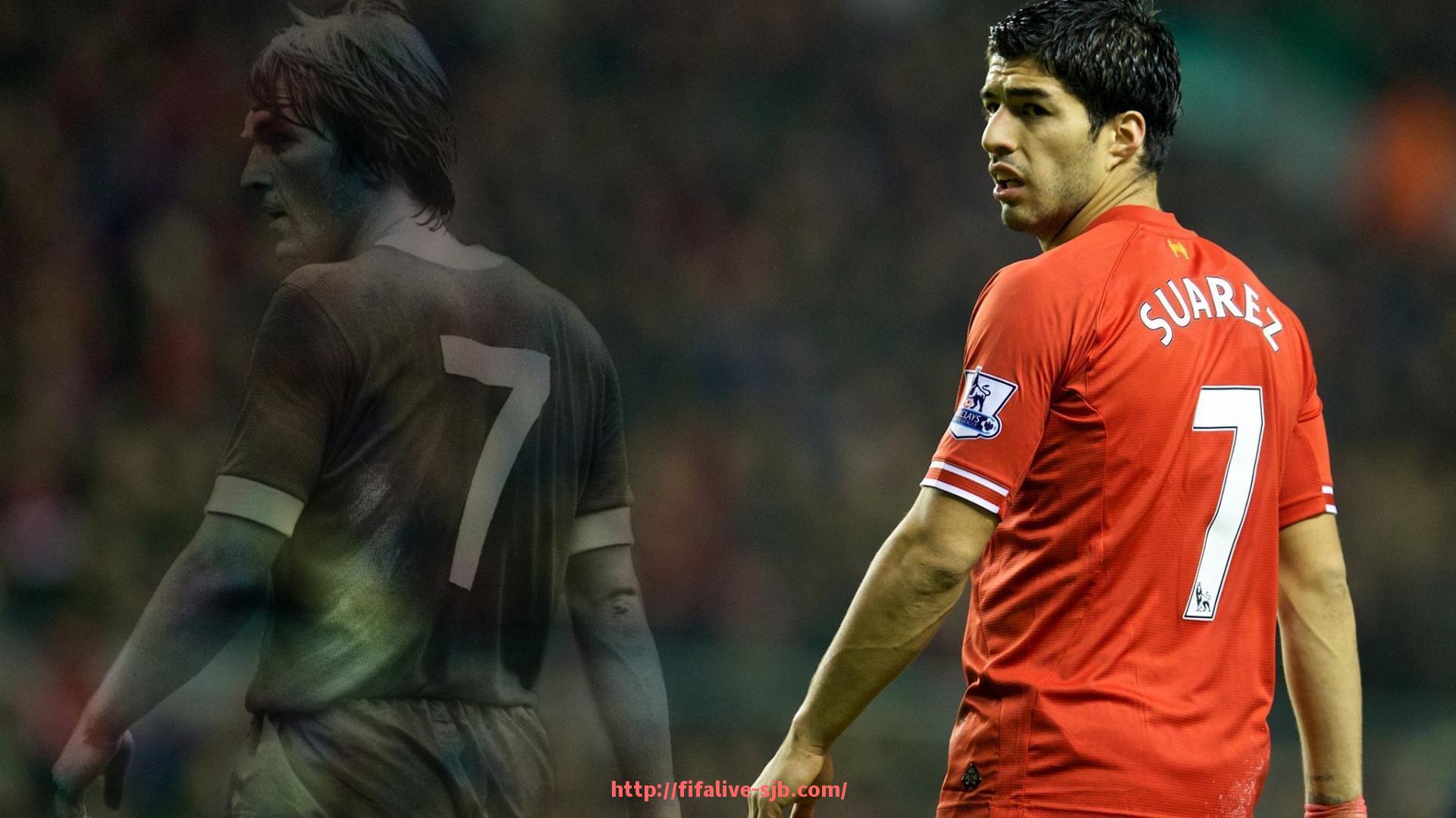 世俱杯直播-环境影响训练？世俱杯集训地条件差距大对比